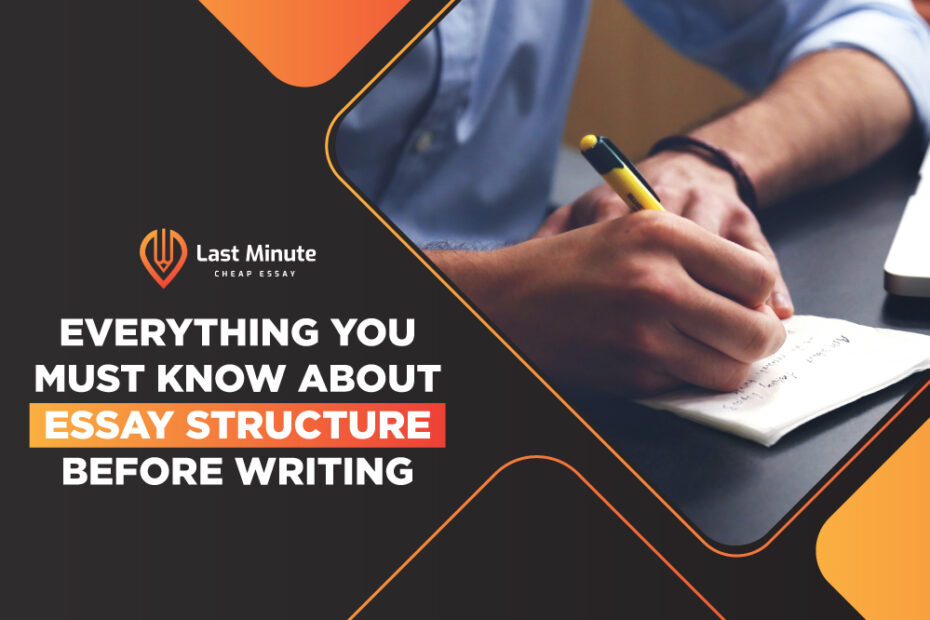 Everything you must know about essay structure before writing